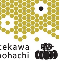 2013年度版オリジナル手ぬぐい「志のビー」